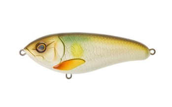 Illex Dexter Jerk 100 Ss mat pearl ayu