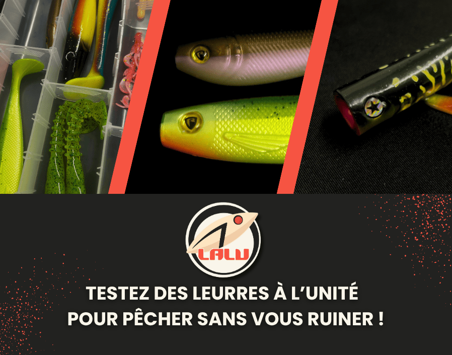 banniere lalu mobile