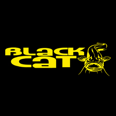 Black Cat